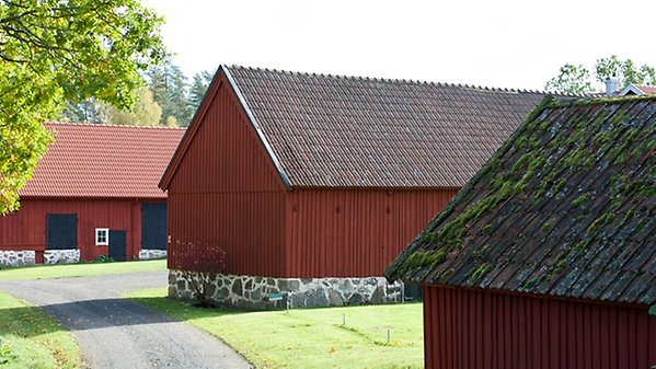 Tre äldre ekonomibyggnader med gråstensgrund och stående, röd träpanel.