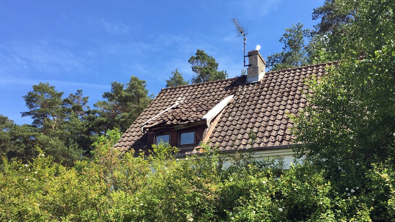 Förfallen takkupa  på bostadshus bakom siktskymmande växtlighet.