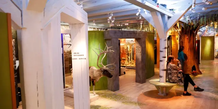 Besök Regionmuseum i Kristianstad och njut av spännande utställningar.
