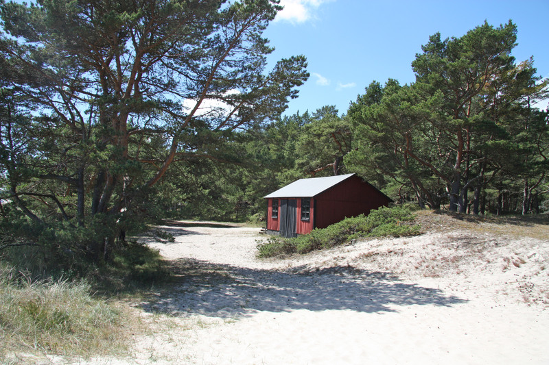 Sand, tallar och ett litet rött hus vid Mästers vägs badplats
