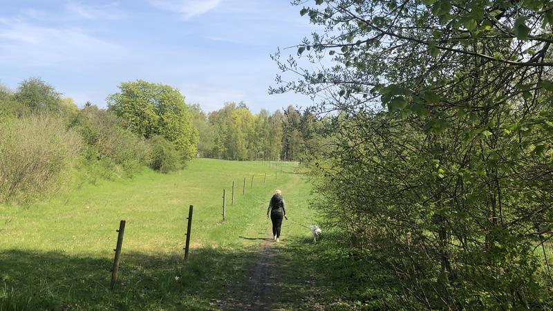Kvinna promenerar med sin vita hund på Näsby fält