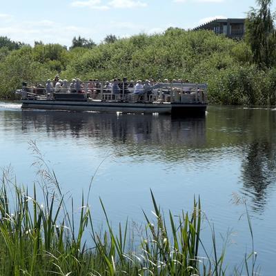 Guidade turer med Stora safaribåten i Kristianstads Vattenrike