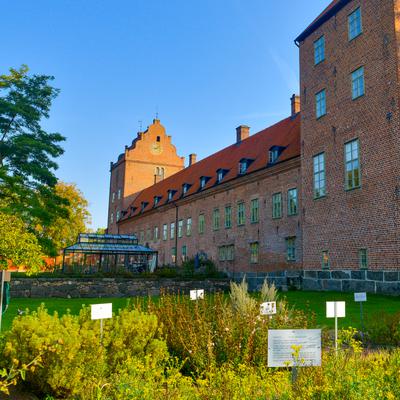Bild på Bäckaskog slott