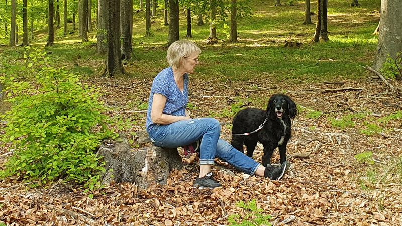 Kvinna med hund som sitter på stubbe i skogen