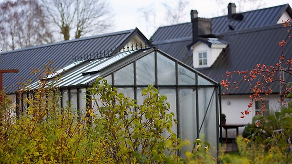 Ett litet växthus med immiga glasrutor i förgrunden framför bostadshus.