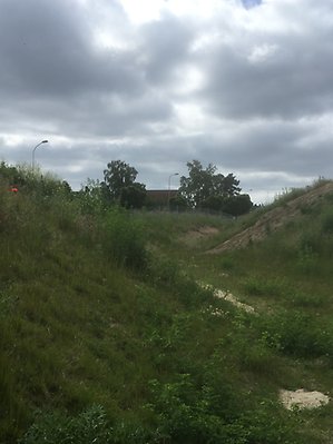Landartverket Kullarna av Pia Sandström