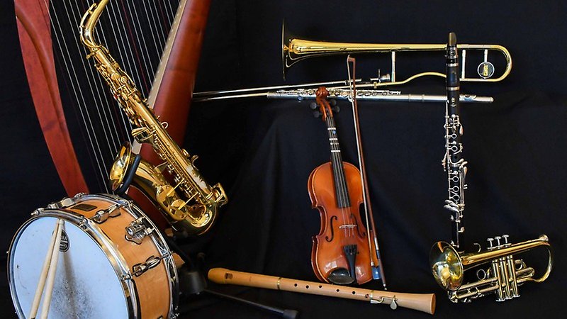 Ett urval av instrument som erbjuds på Musikskolan. 