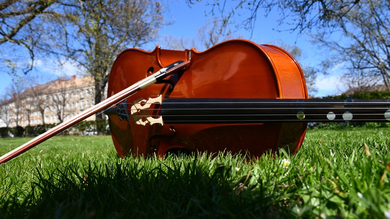 En cello liggandes i det gröna gräset. 