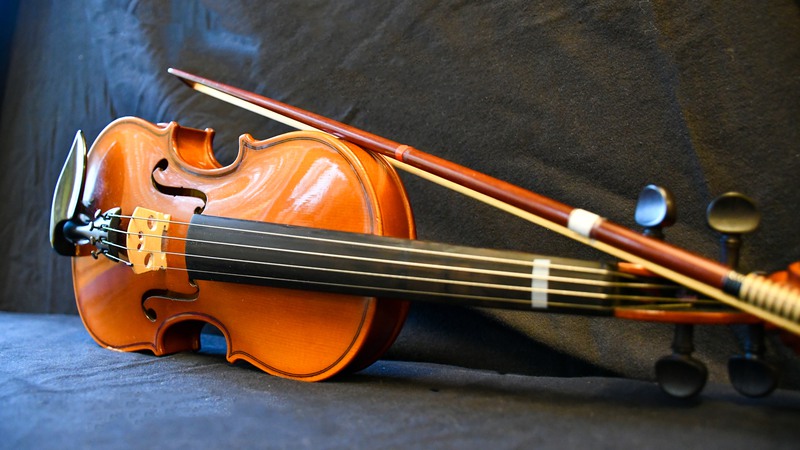 Fiol, eller violin som den också kallas, är stråkfamiljens minsta instrument och spelas med en stråke. 