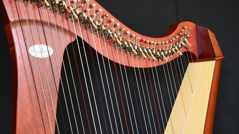 Närbild av den den övre delen av en harpa. Harpa kan du lära dig på Musikskolan. 