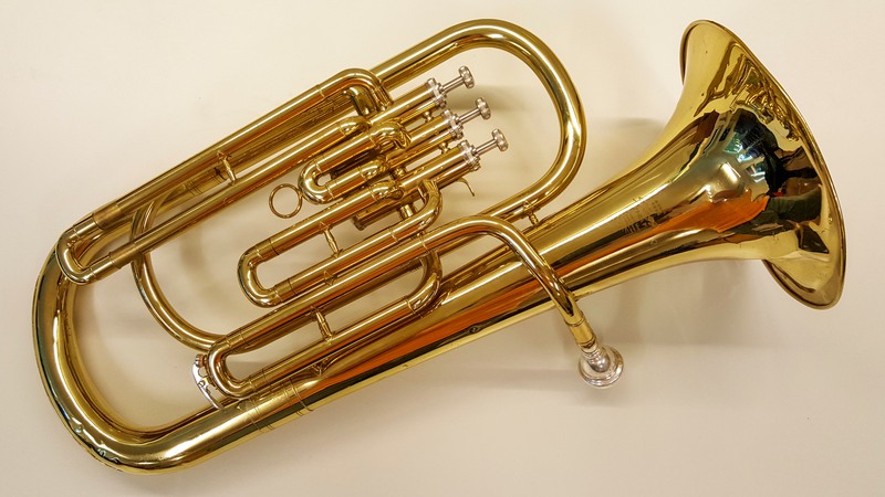 En baryton tillhör brass-/bleckblåsinstrumenten. Den är en bra start om man vill spela tuba men är lite yngre. 